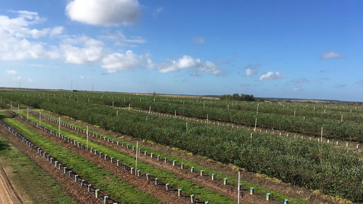 Rep. Soto with constituents