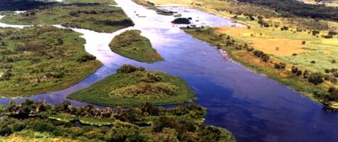 Kissimme River Canal Section