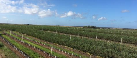 Rep. Soto with constituents