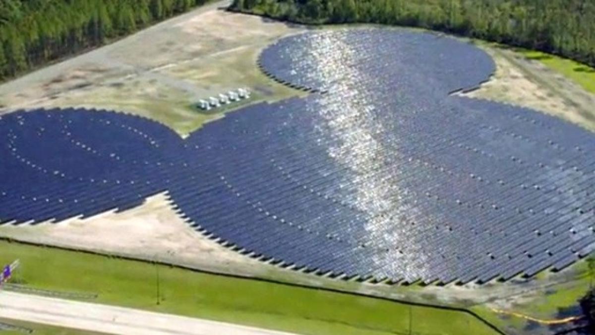 renewable energy