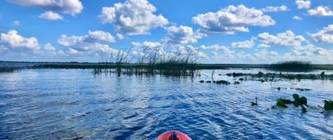 Lake Toho